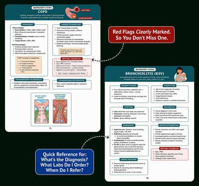The Family Nurse Practitioner Guide